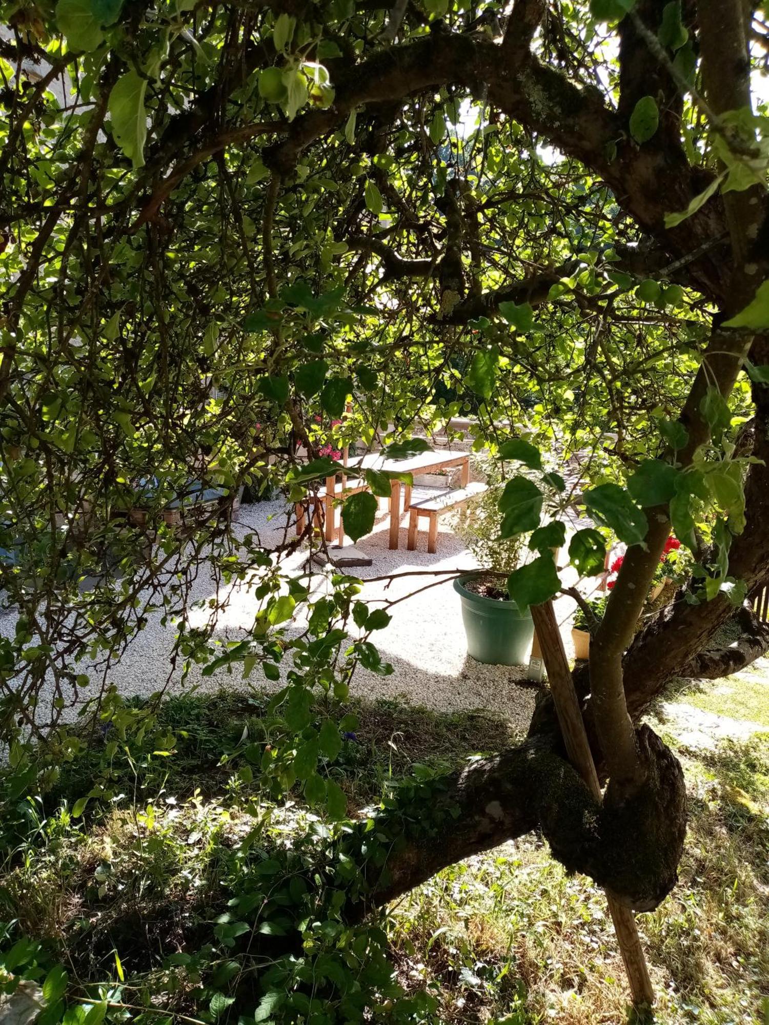 Gite Les 27 Roses Et Plus Châtel-Censoir Exteriör bild